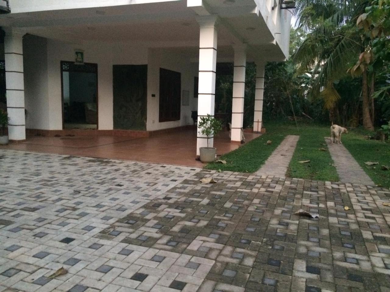 Photo 41