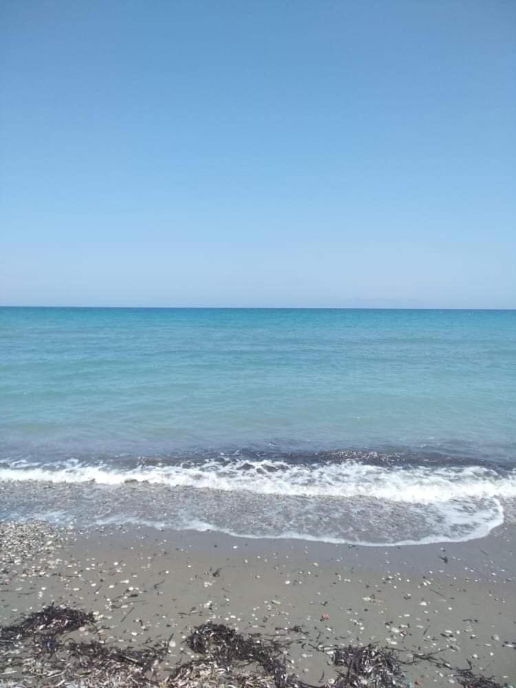 Photo 33