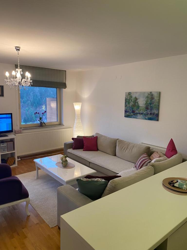 Apartment Pine