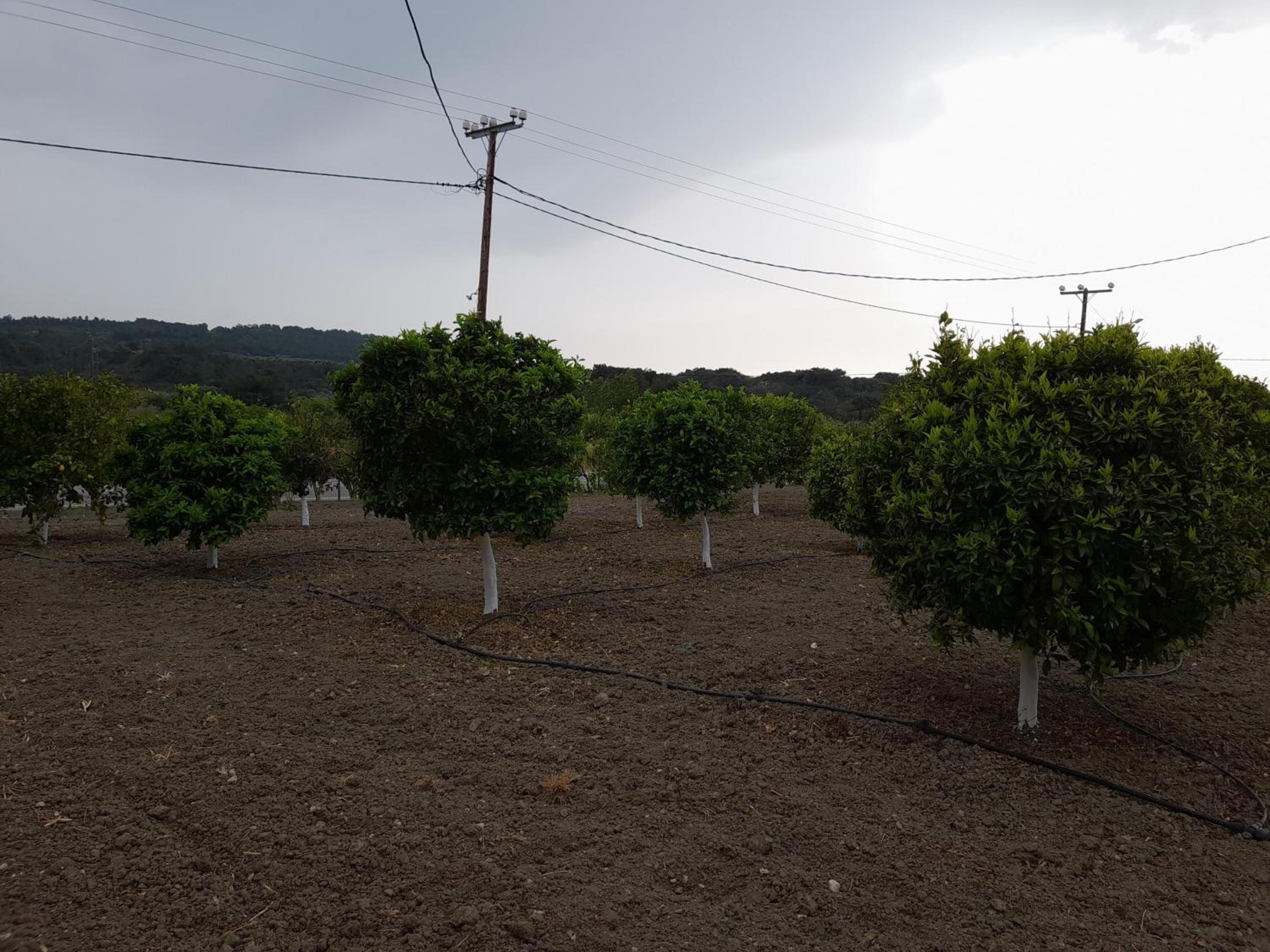 Photo 26