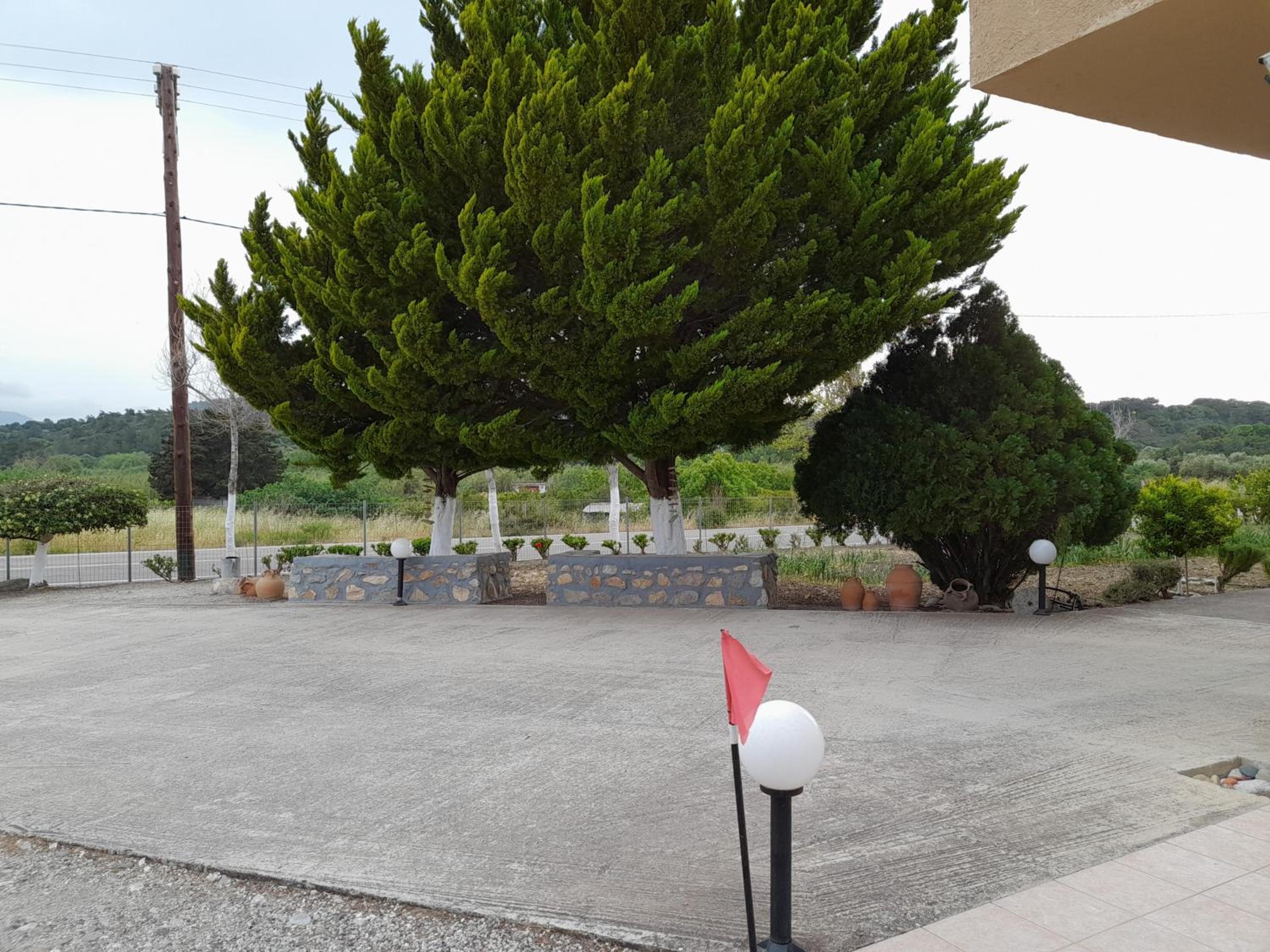 Photo 19