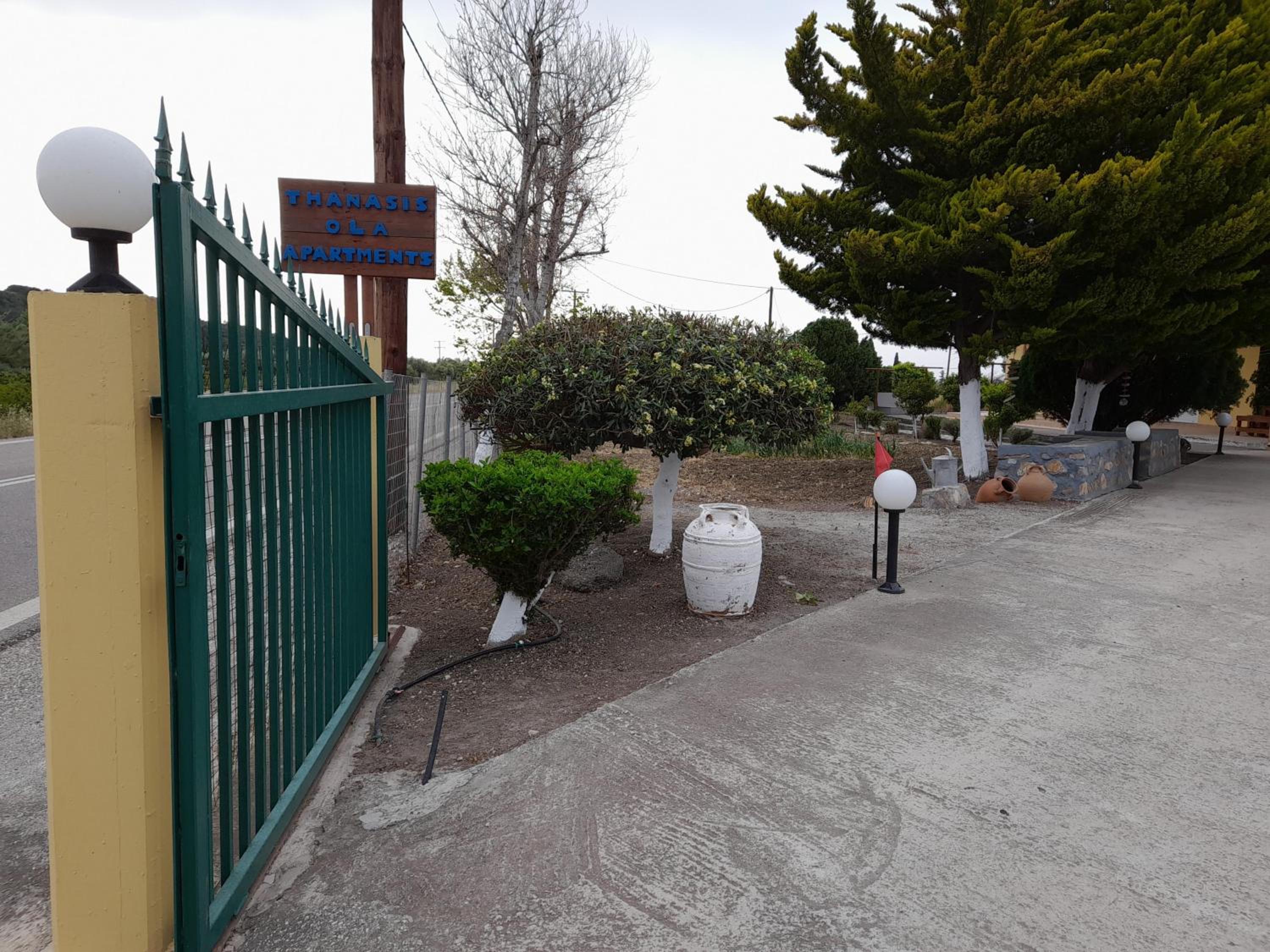 Photo 42