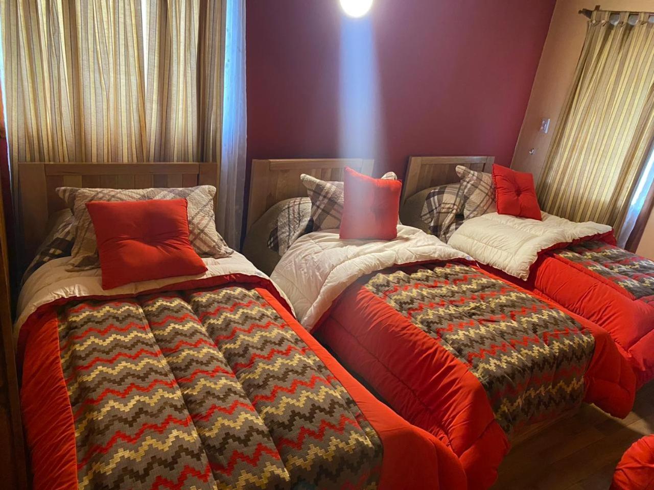 Bungalow Rio Olivia