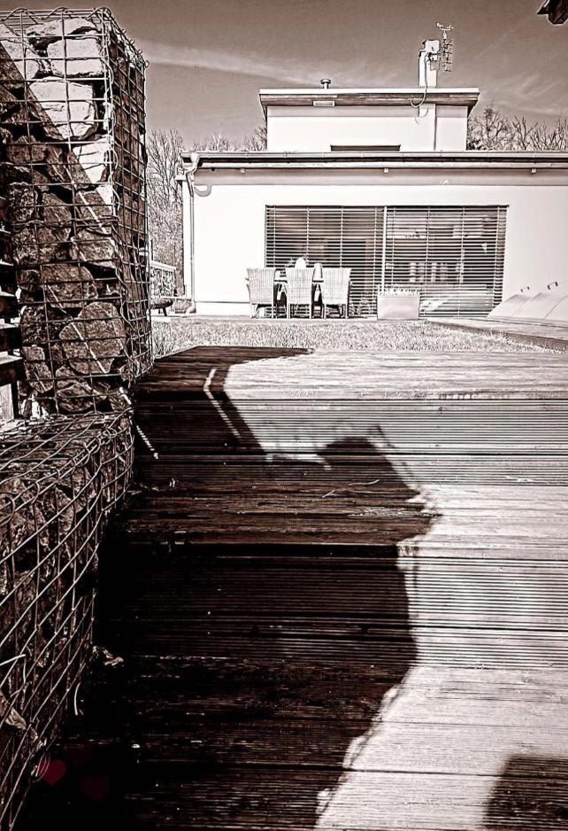 Photo 47
