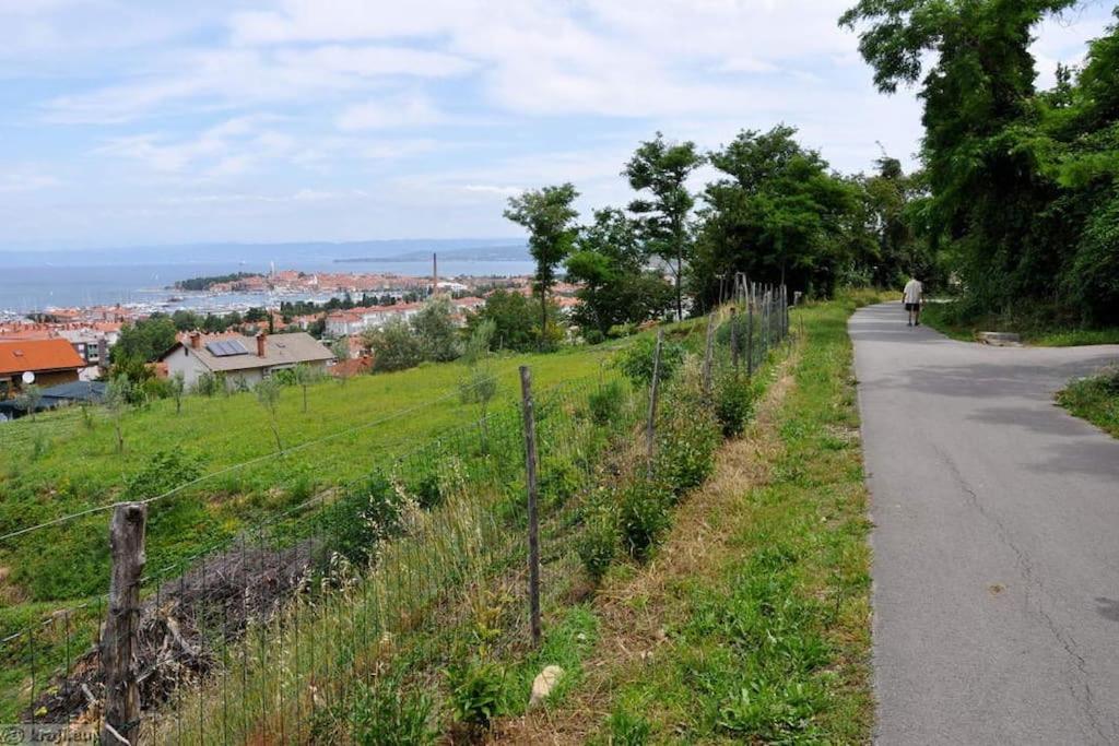 Apartment Izolanka / Great Location / Best Sea and City View view 5