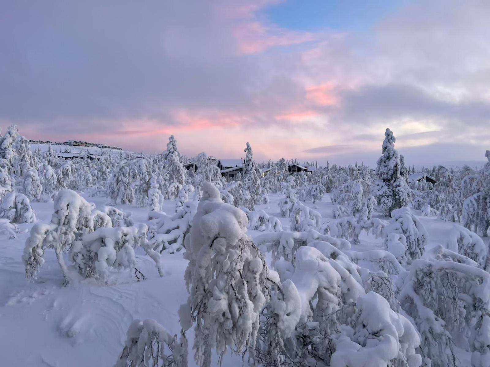 Villa Haukka view 2