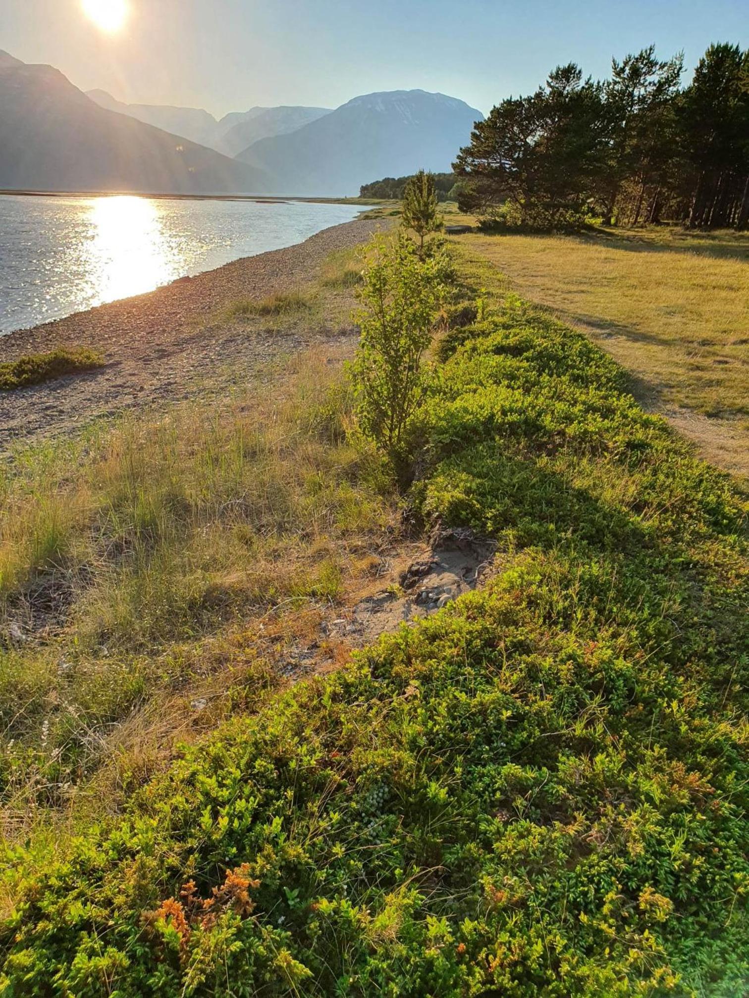 Strandbu Camping