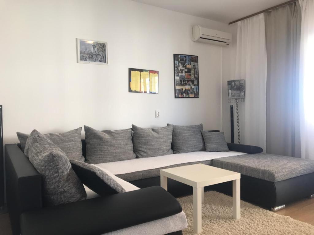 Apartments Vojin