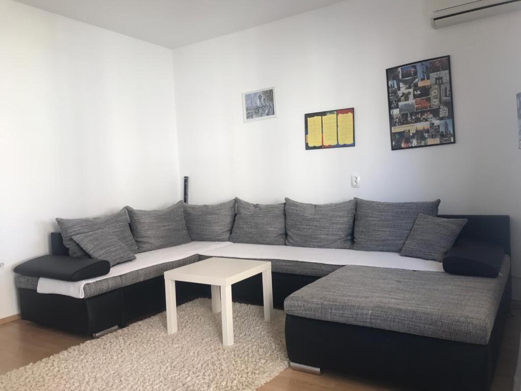 Apartments Vojin