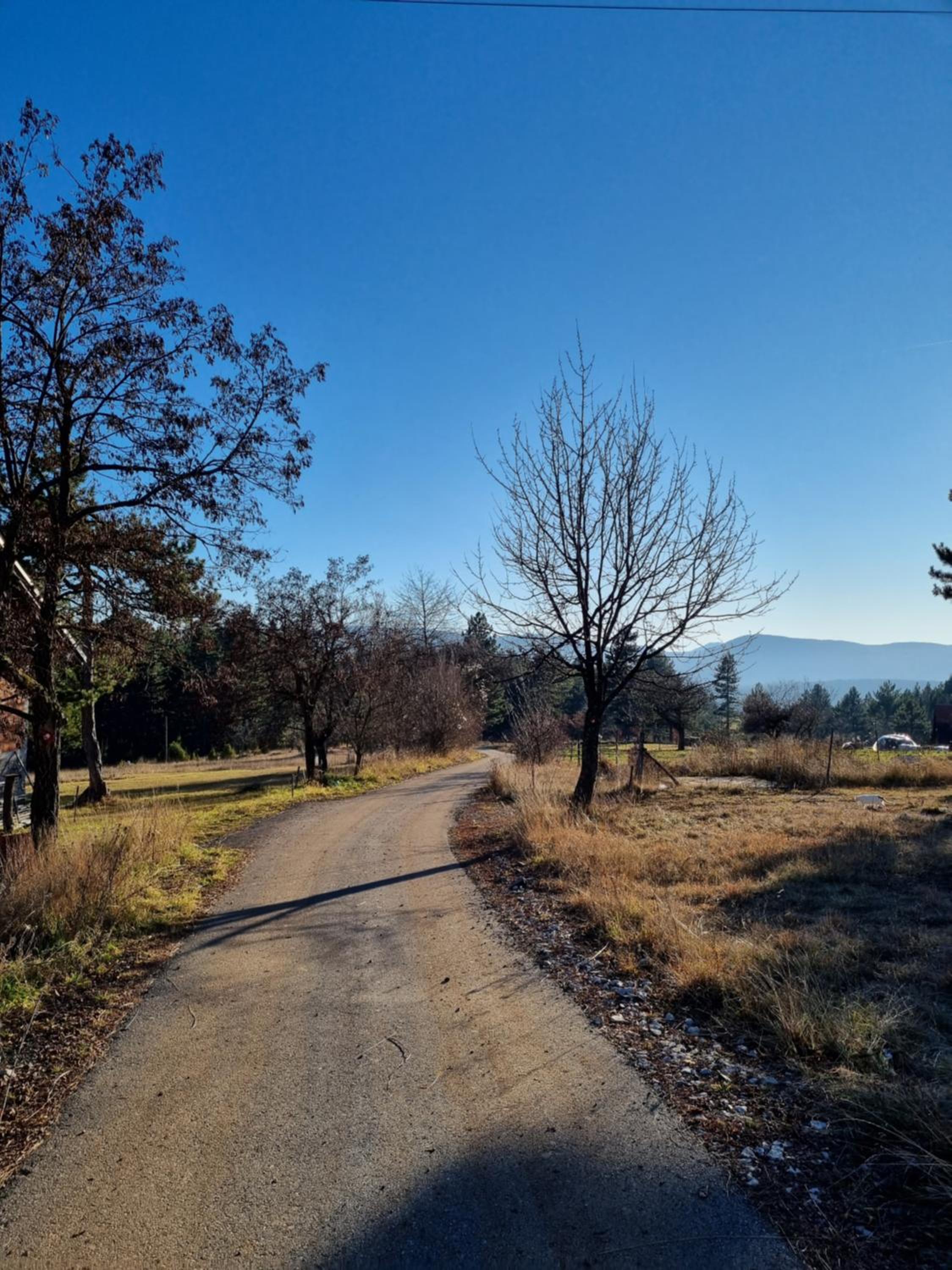 AA Pine vikendica za izdavanje u srcu Zapadne Srbije