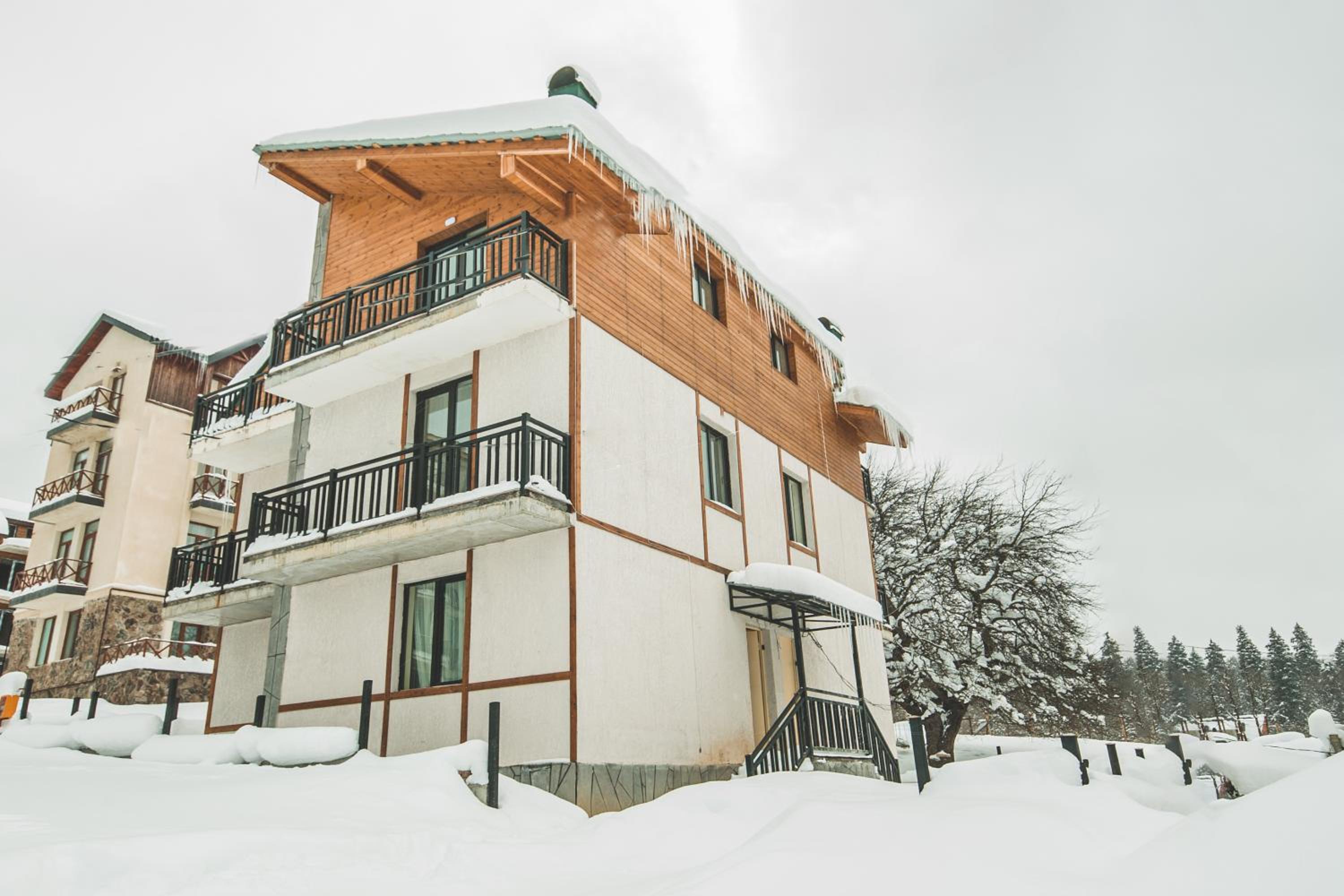 Kokhta house