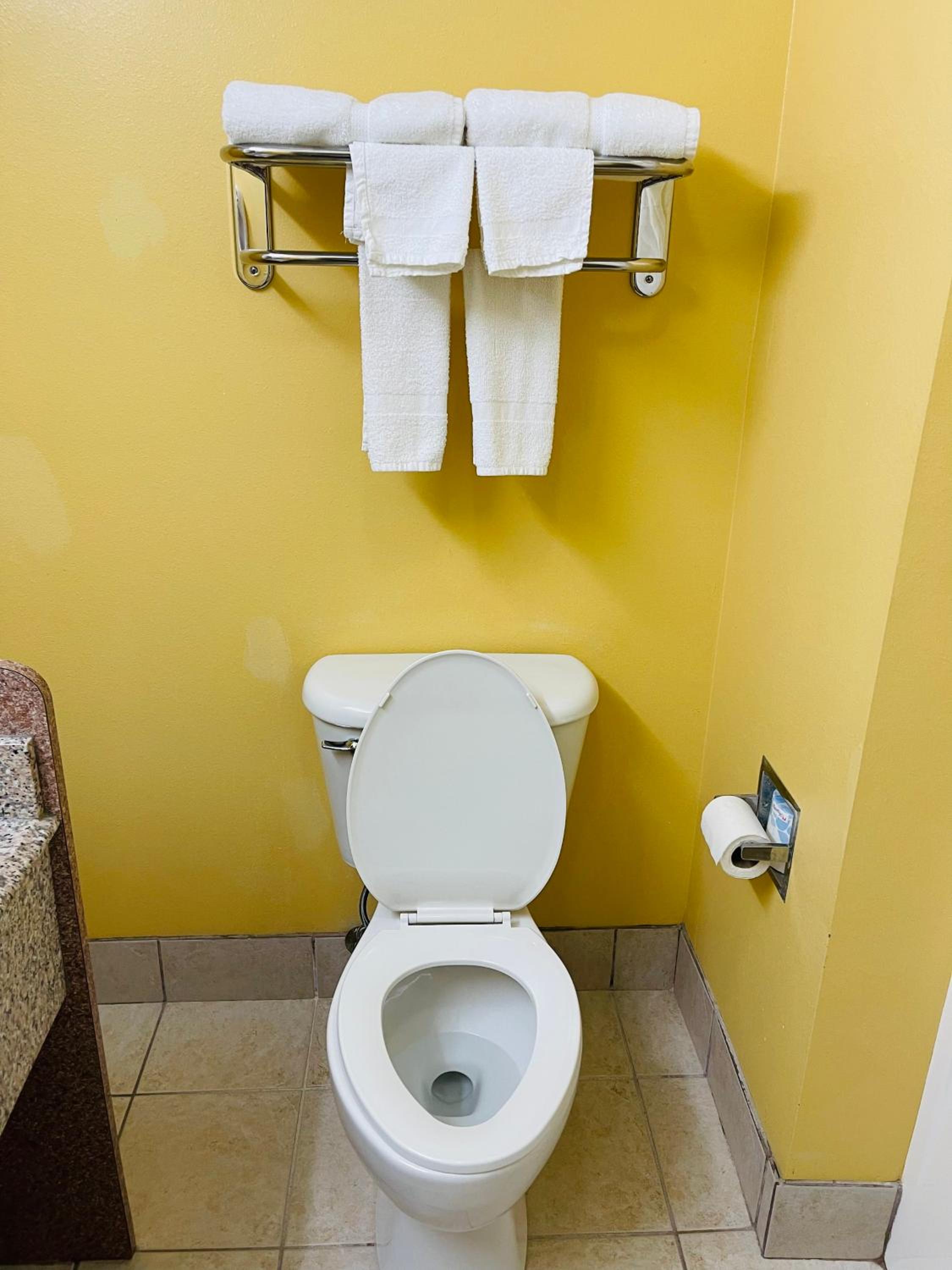 Mountain inn & suites - Dunlap TN
