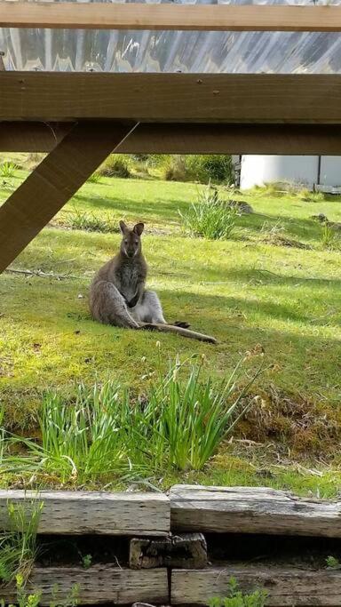 The Stone Cottage - Bruny Island