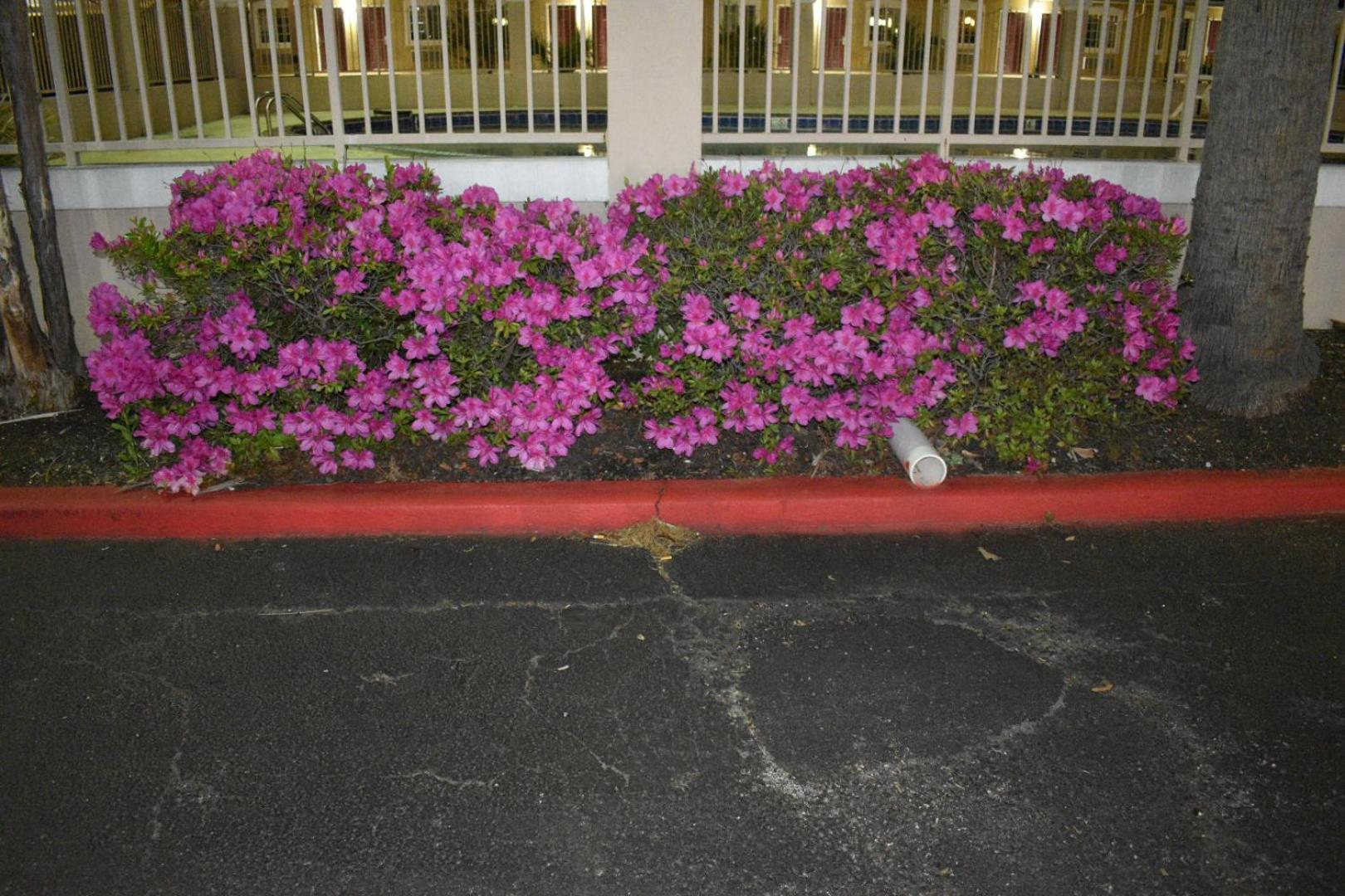 Photo 36