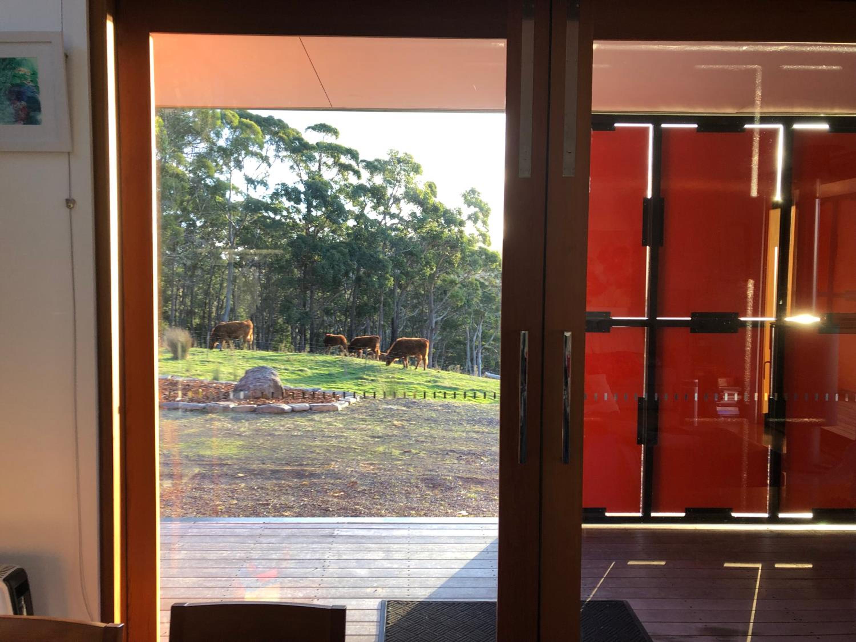 The Orange House