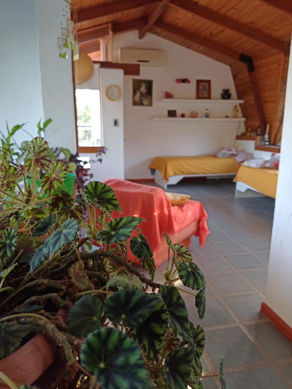 loft interno