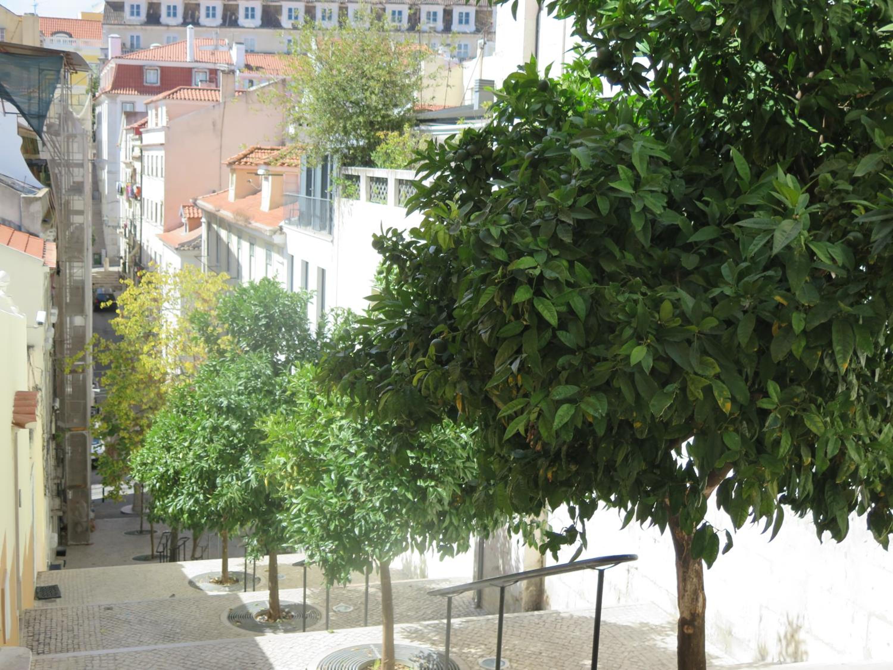 3 Bedroom Apt, Historical Center, Tagus River View view 4