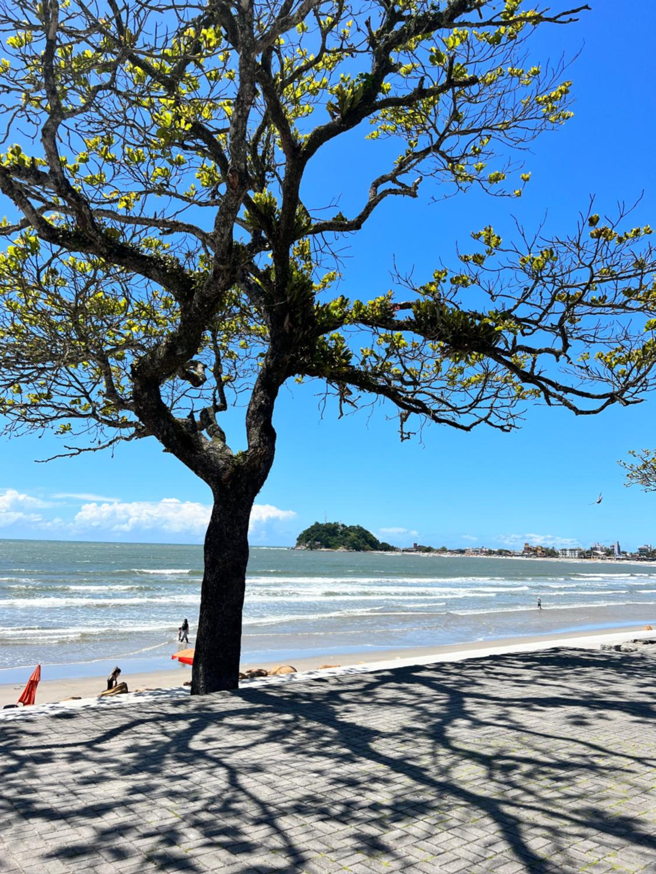 Apto novo com AC 1 quadra da praia Guaratuba PR