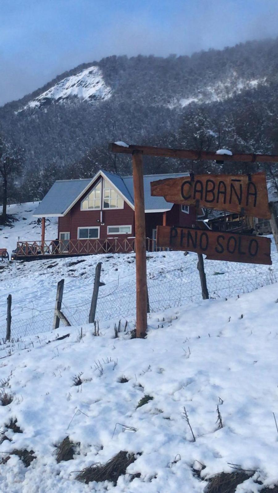 Cabañas Pino Solo