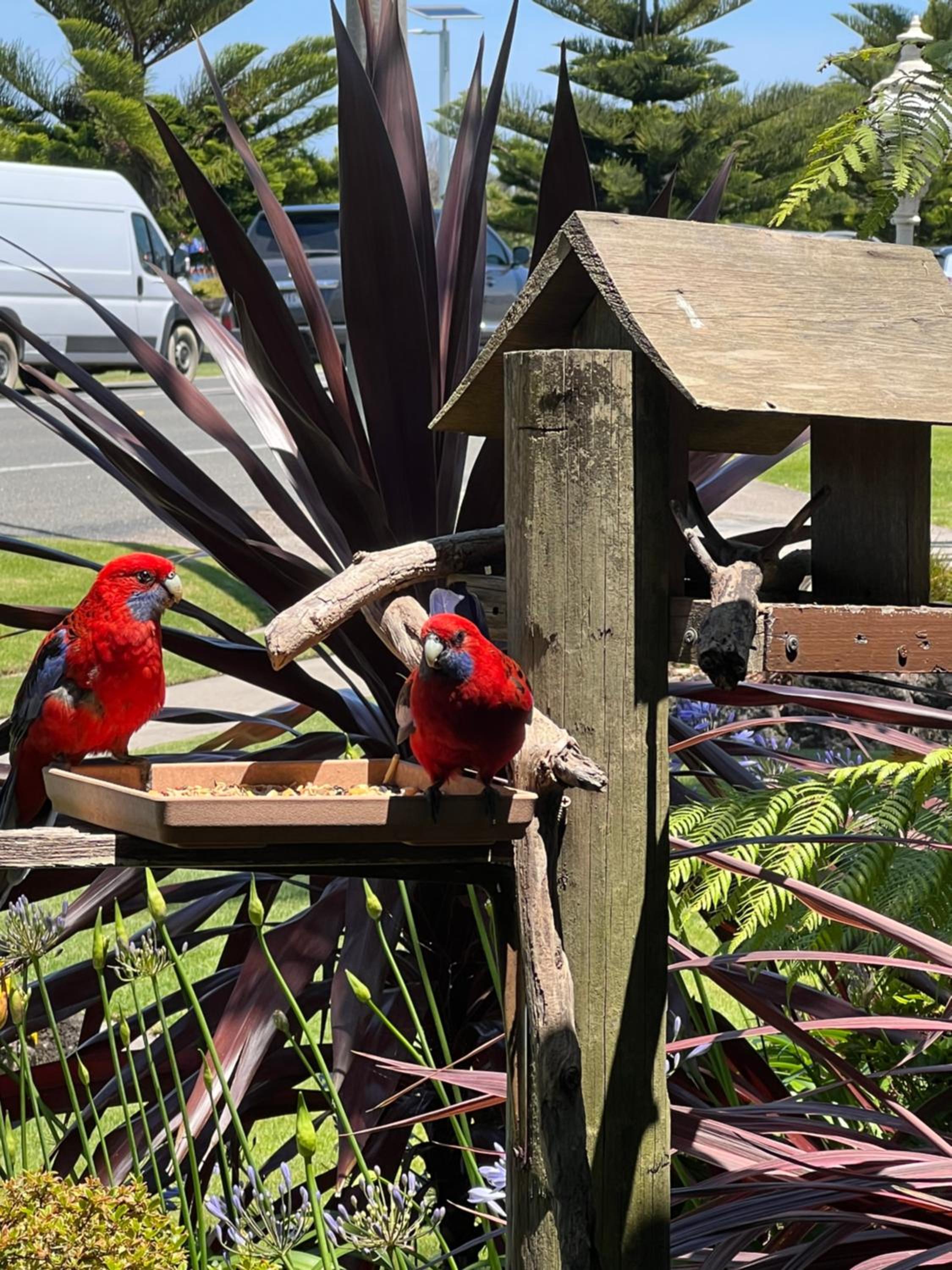 Coastal Waters Motor Inn - Property Image 34