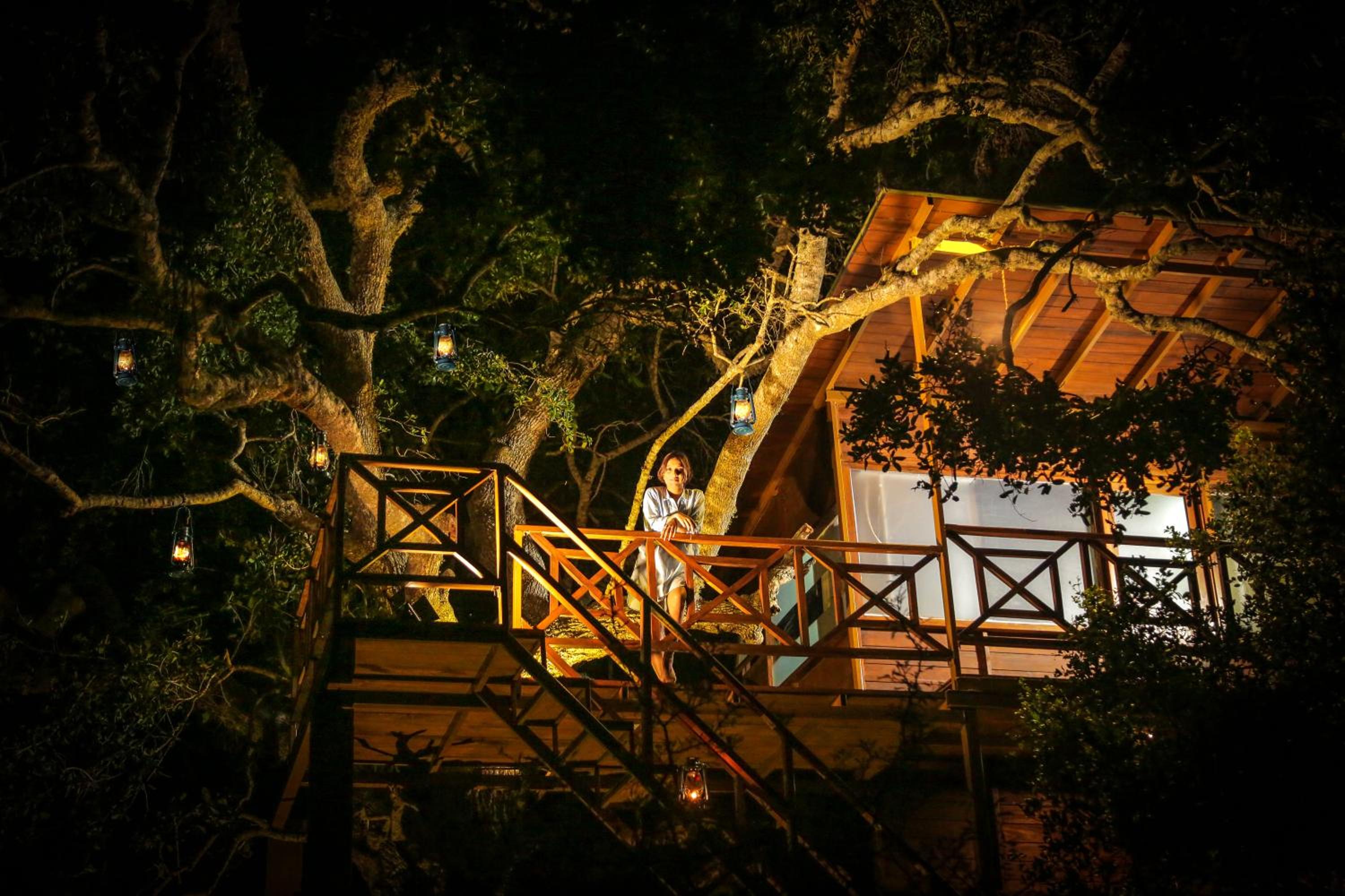 Leopard Nest in Yala view 4