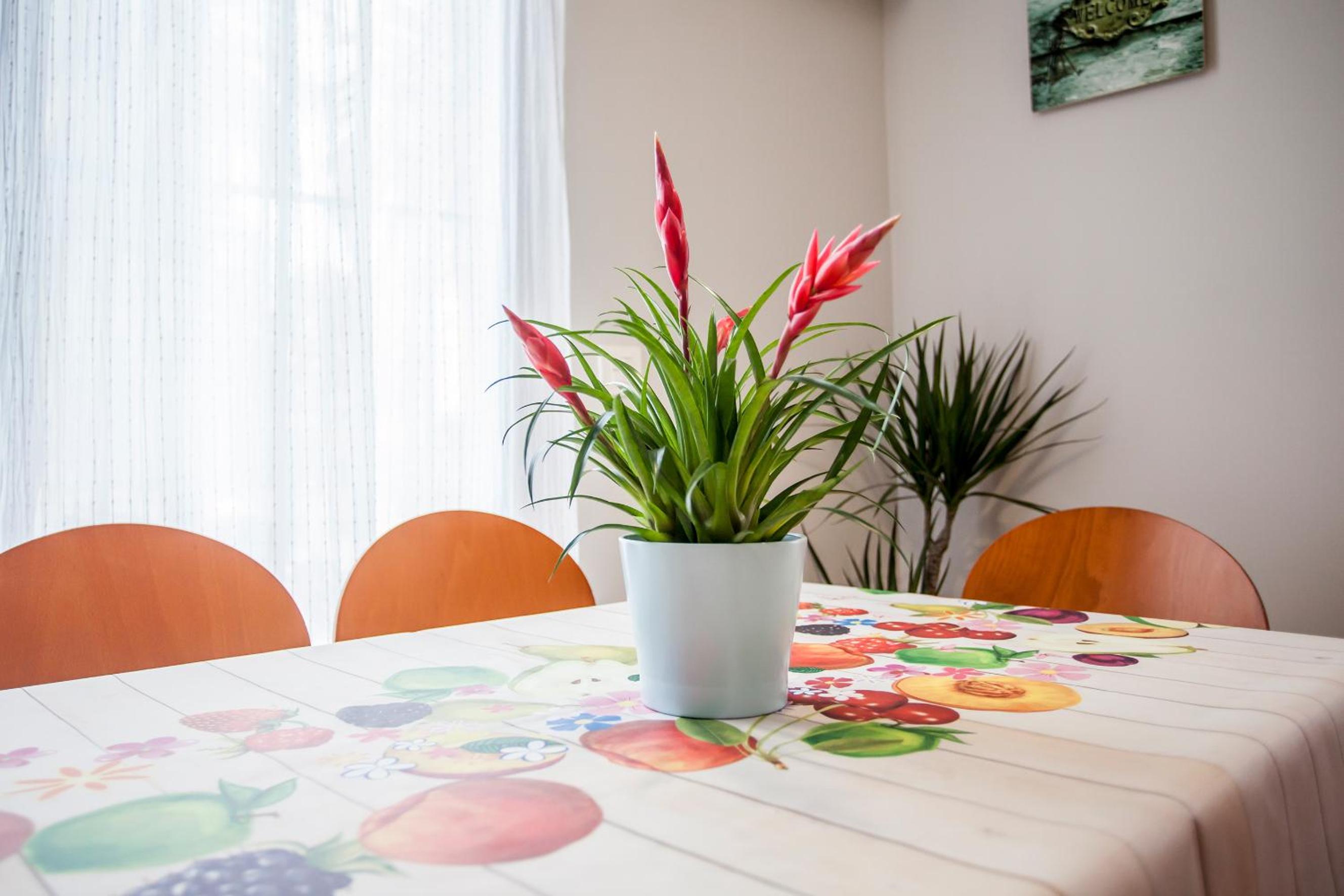 Piso en la Playa, Wifi gratis y AC