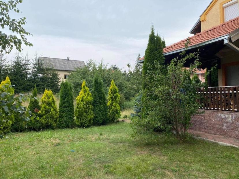 Pino Munika apartman