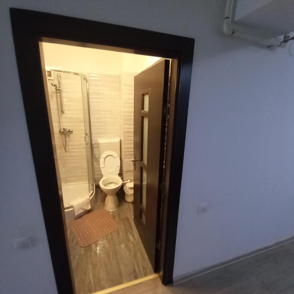 Apartament Aosta Central Sinaia view 4
