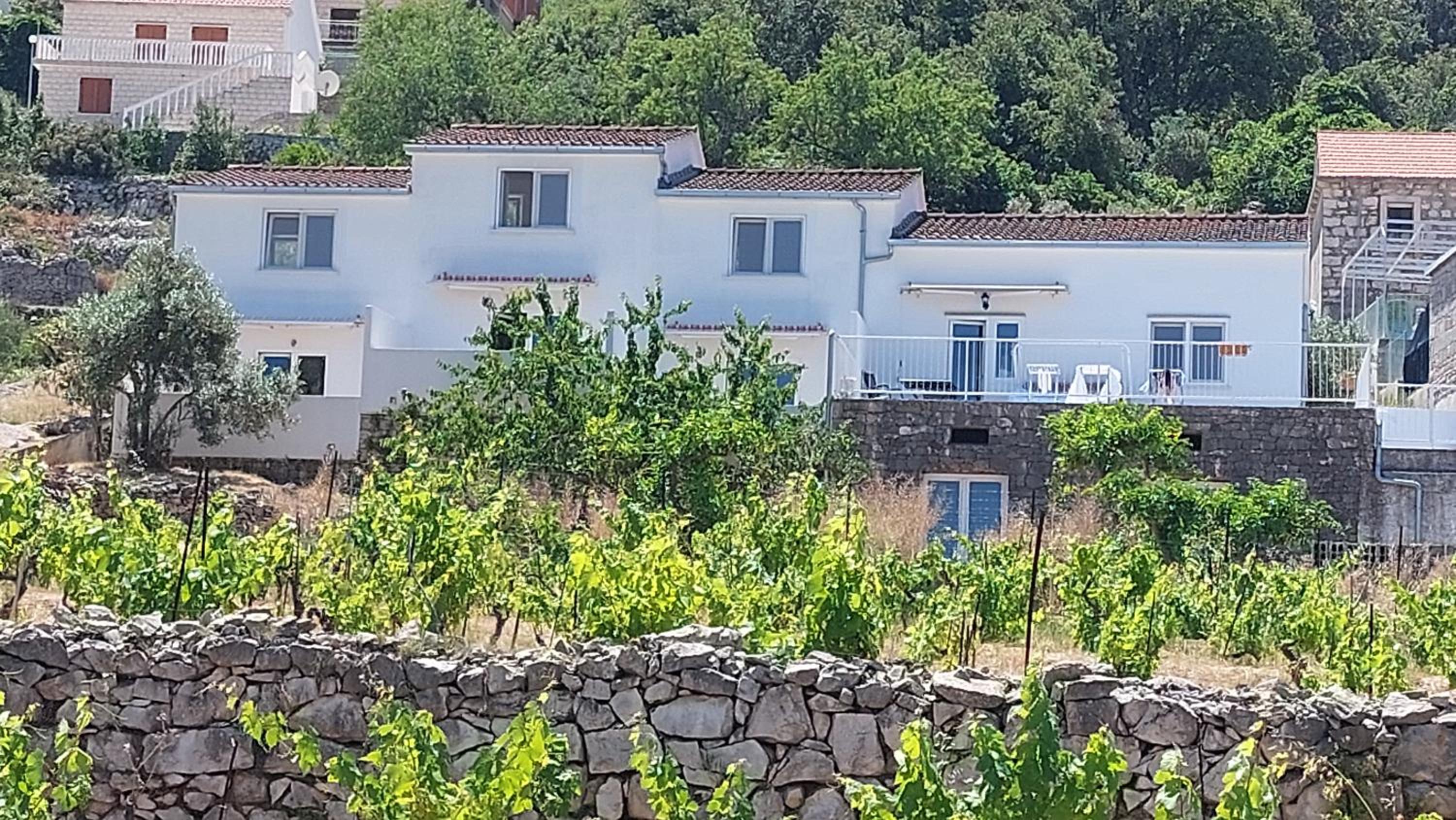 The White House Lumbarda view 3