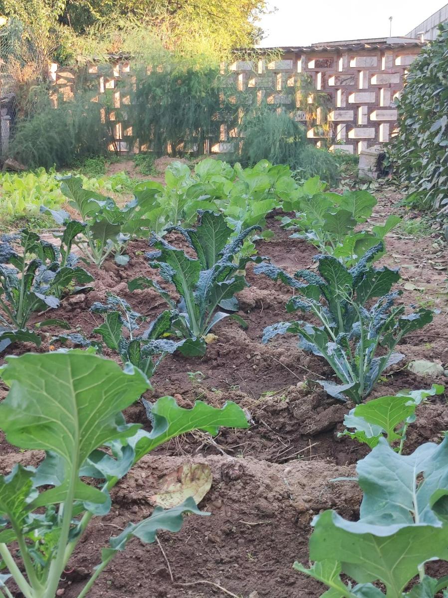 La casa della Nonna
