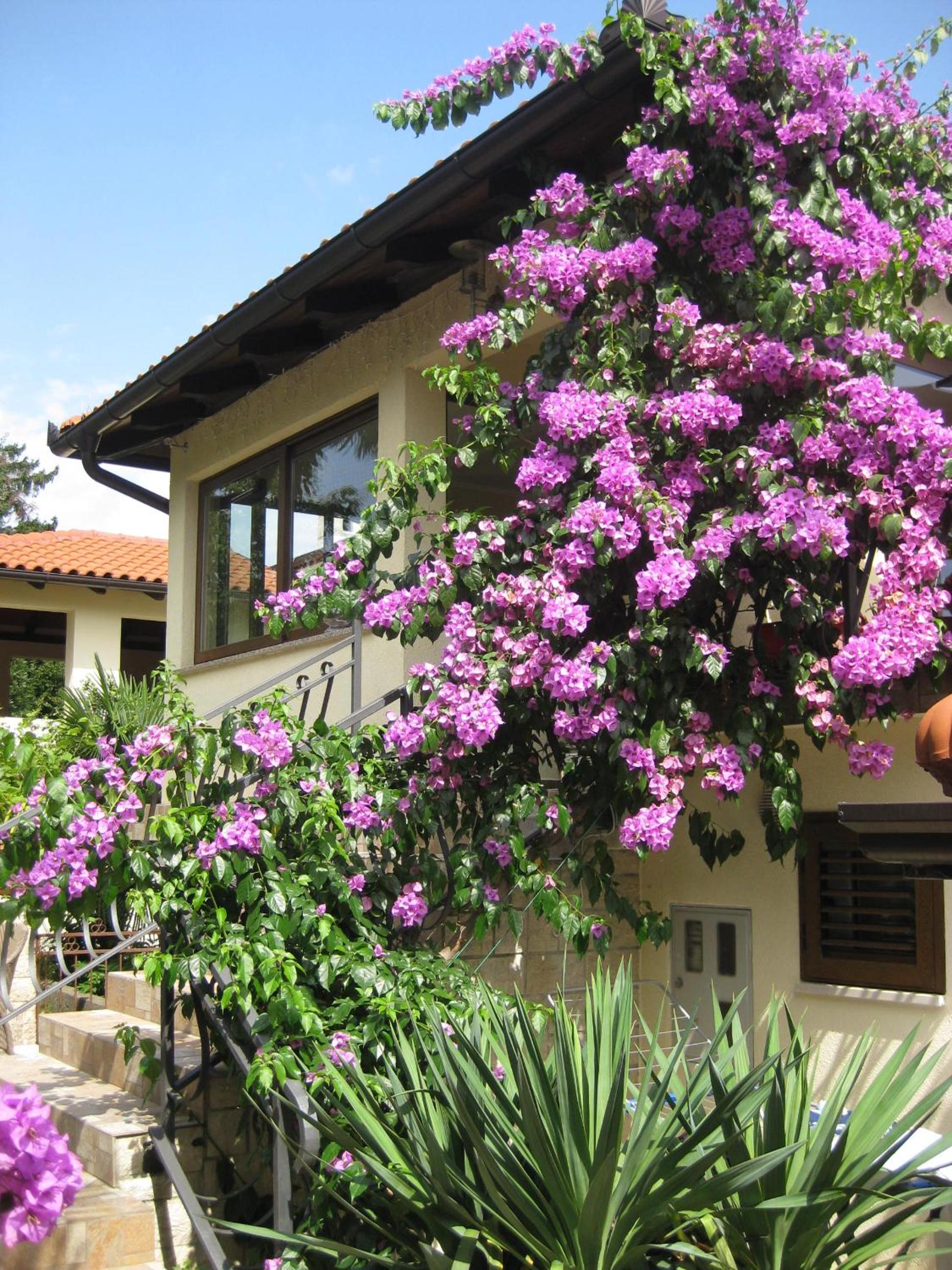 Hotel Apartments Ana - Image 1