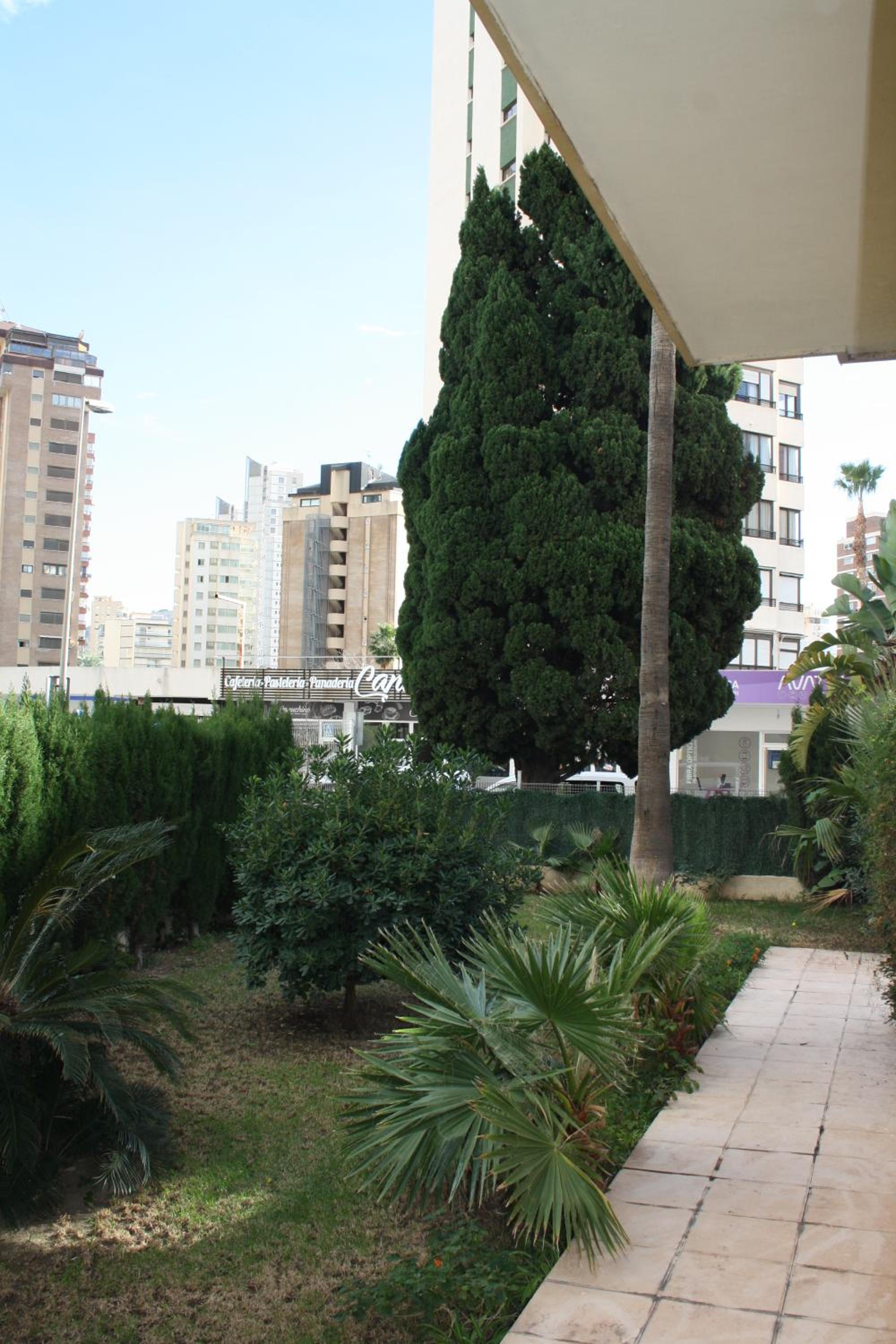 Photo 51