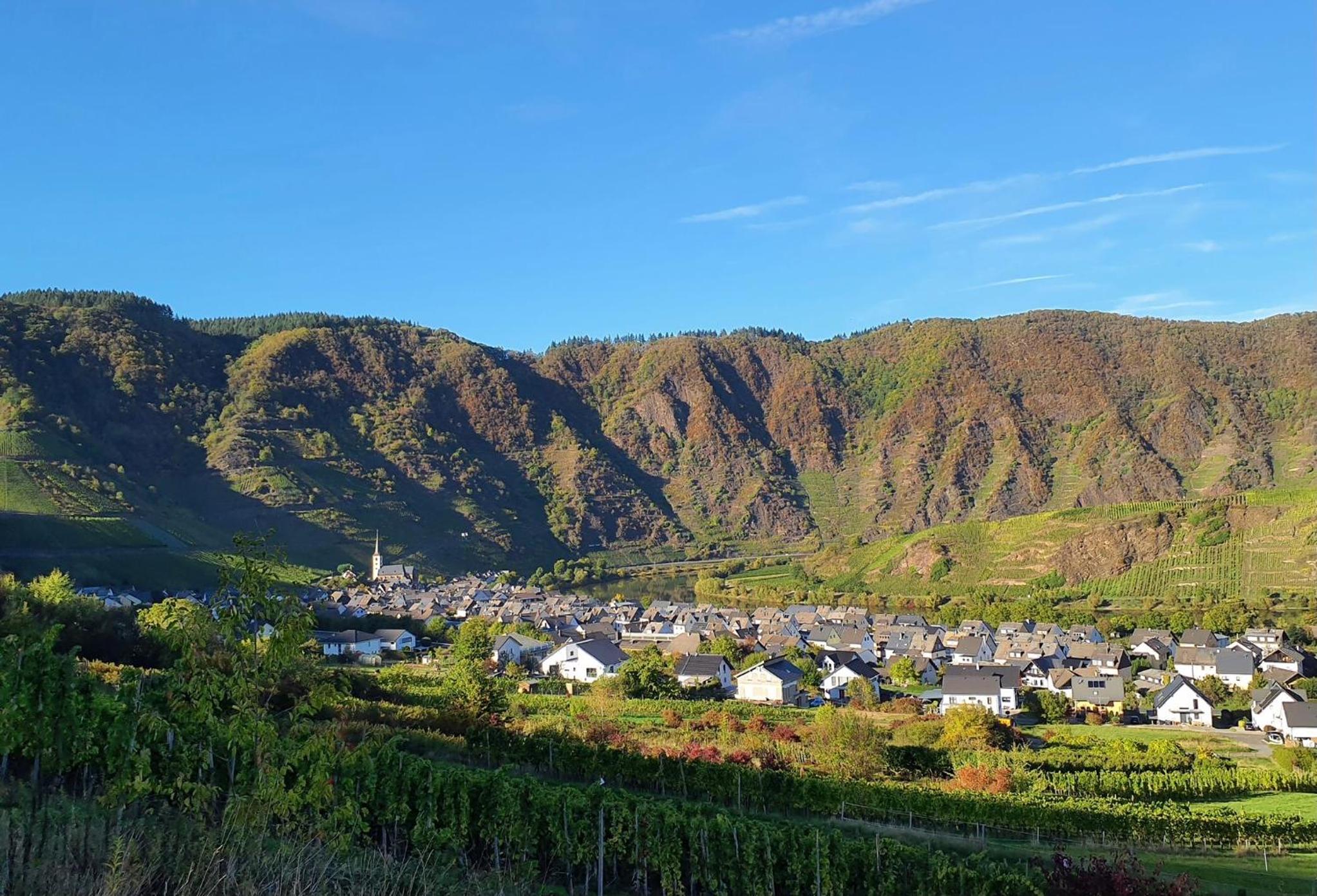 Attraktive Wohnung-Elztalidyll-zwischen Mosel,Nürburgring und Burg Eltz
