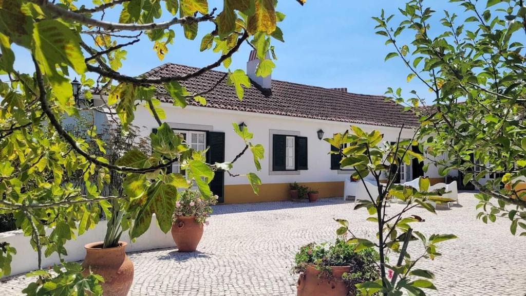 Casa do Patio - Très charmante villa 12 personnes 5ch avec piscine view 3