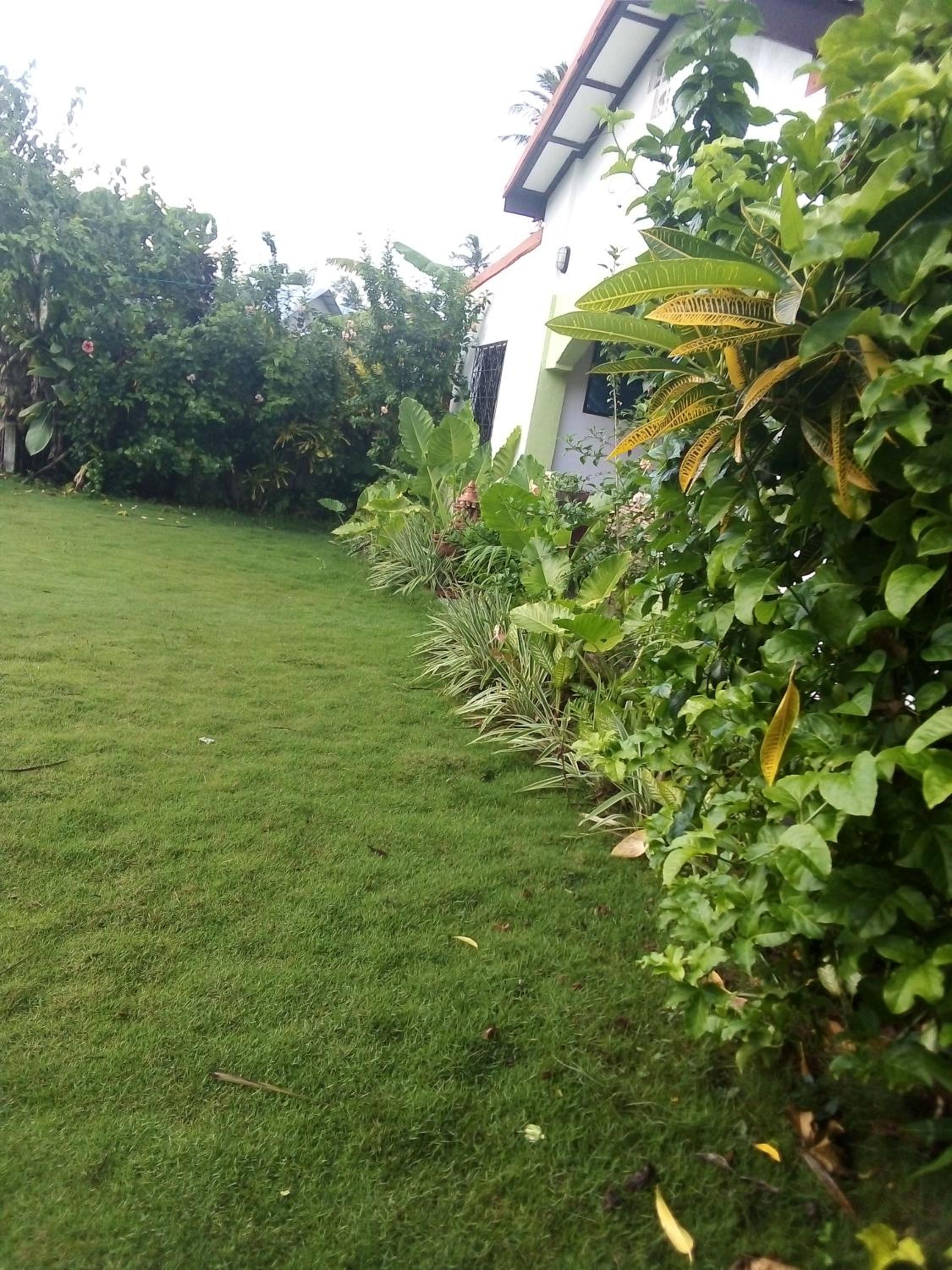 Siargao Homely Homestay