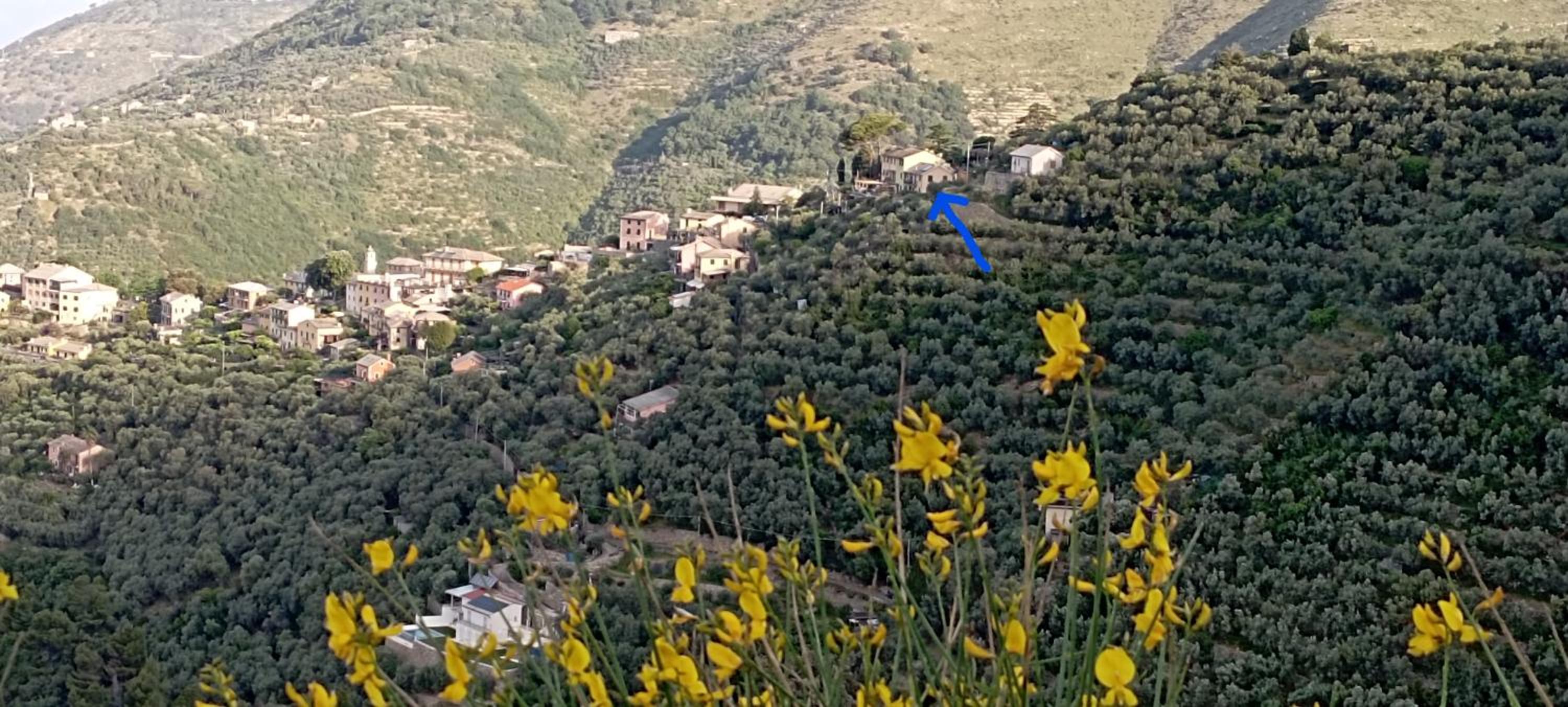 In Sciâ Costa