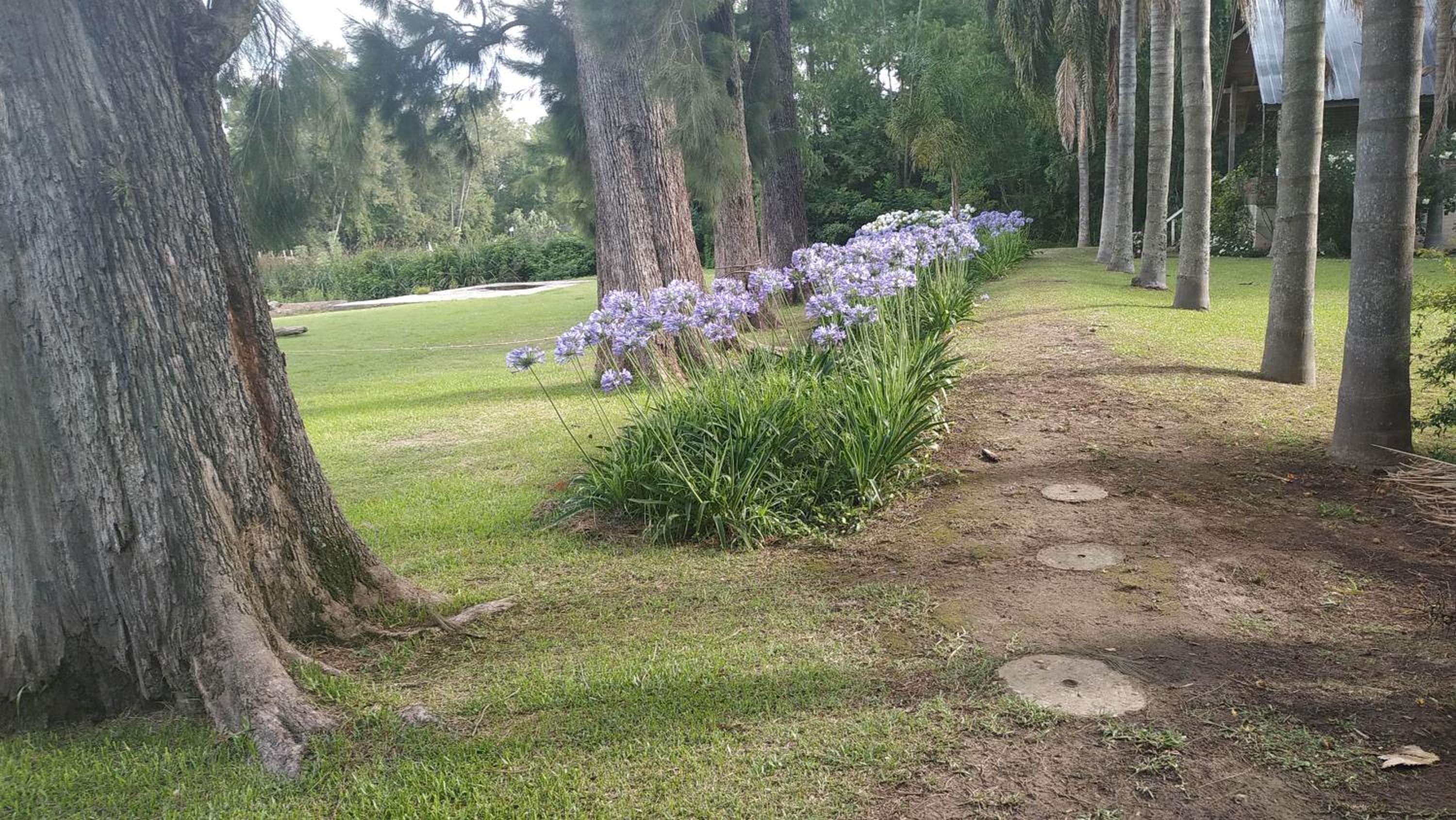 Las Casuarinas del Rio Capitan