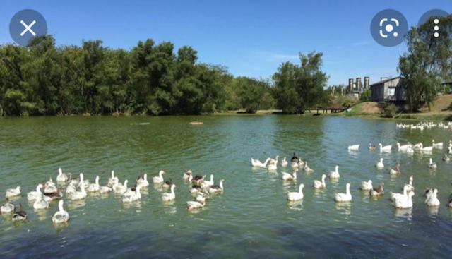 Ayres de Palermo , Botanico!