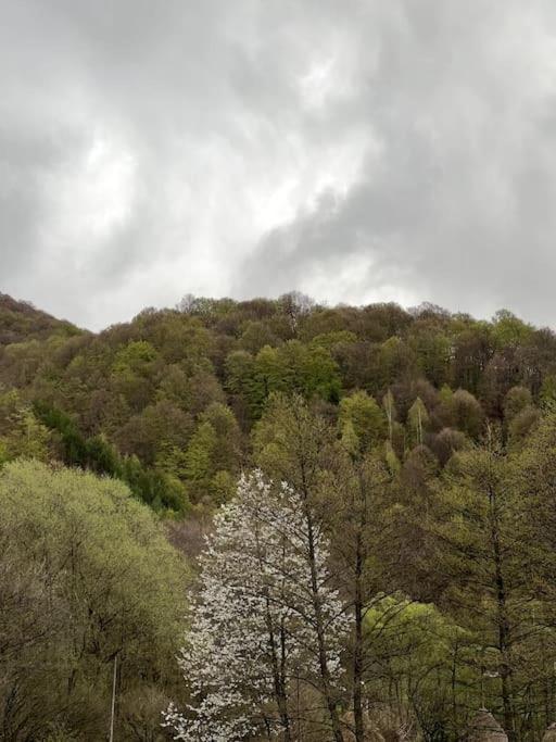 Cabană la poalele munților cu ciubăr view 5
