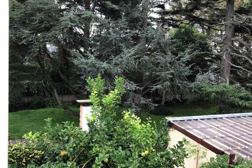 Mar y Asados - Chalet hasta 19 huéspedes con dos Parrillas