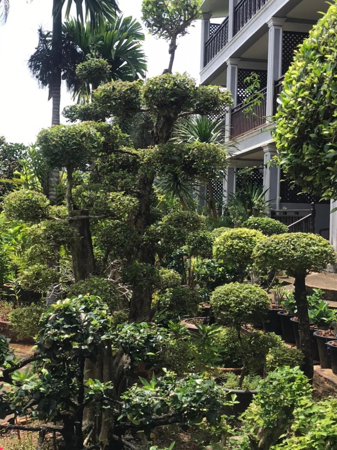 Pratum Resort