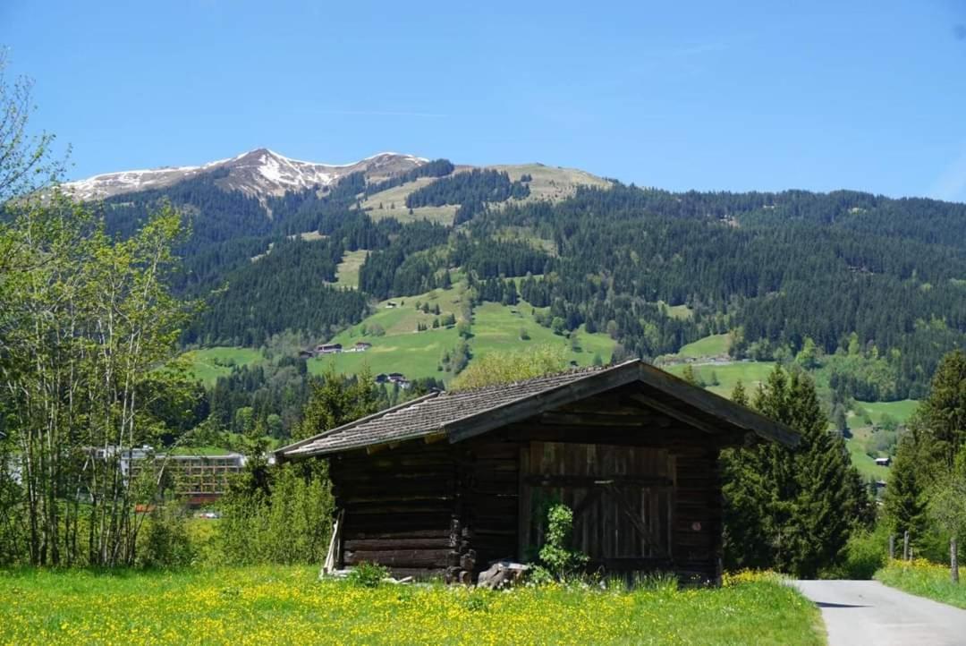Photo 17