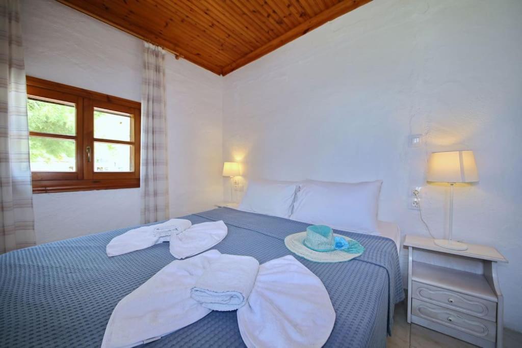 Skopelos Beach house