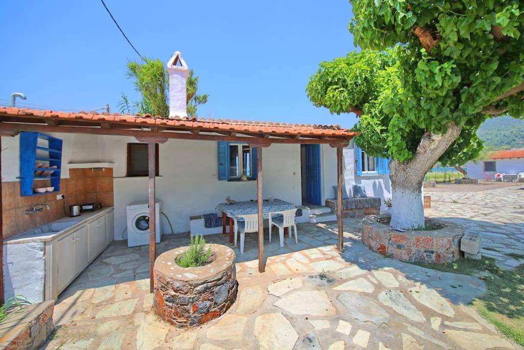 Skopelos Beach house