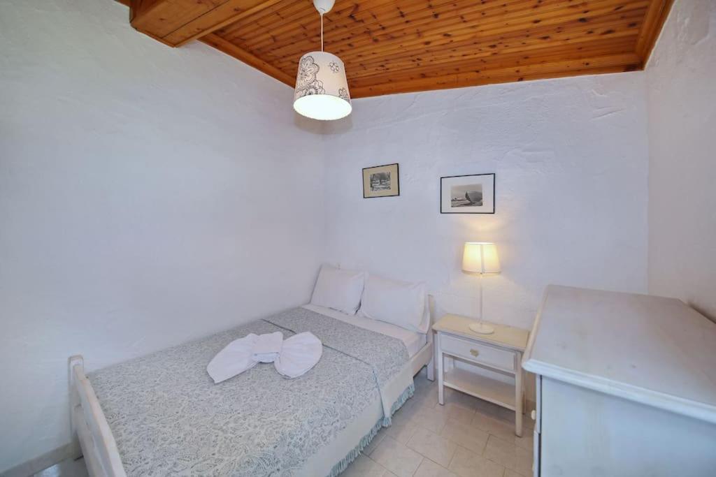 Skopelos Beach house