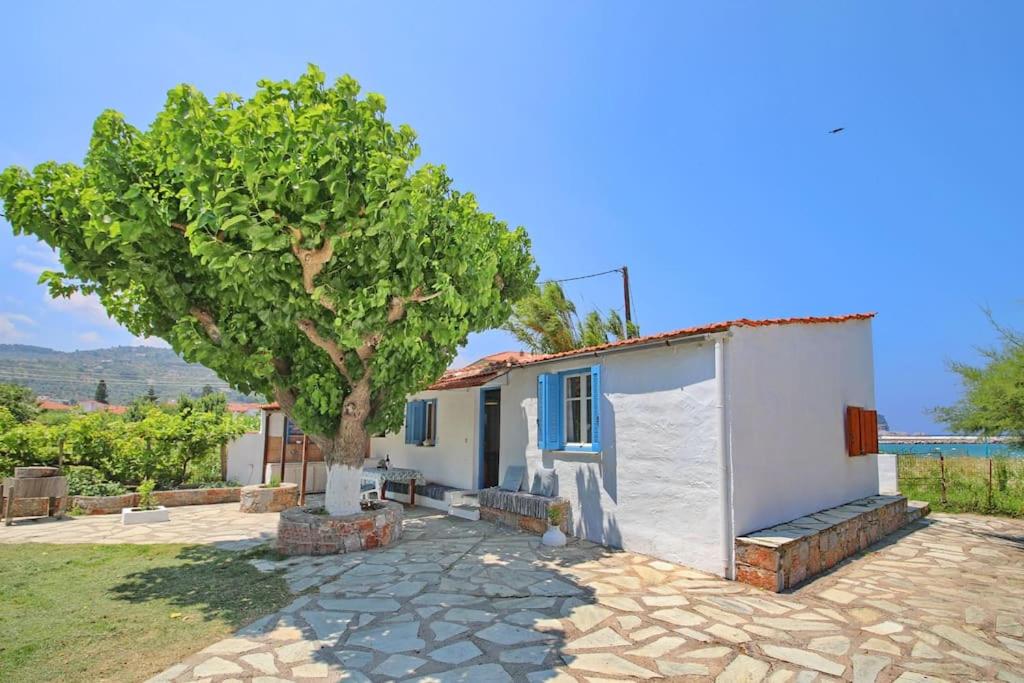 Skopelos Beach house