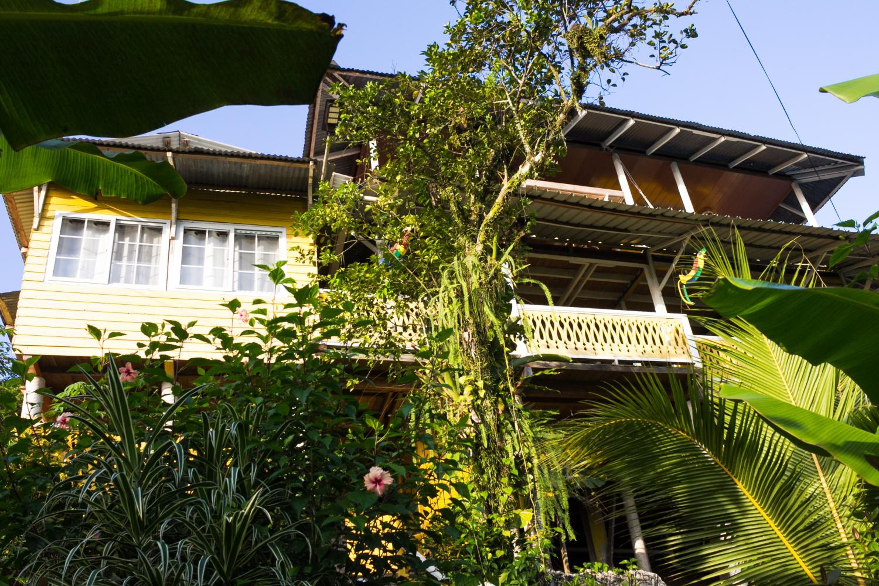Bastimentos Hill Guest House view 5