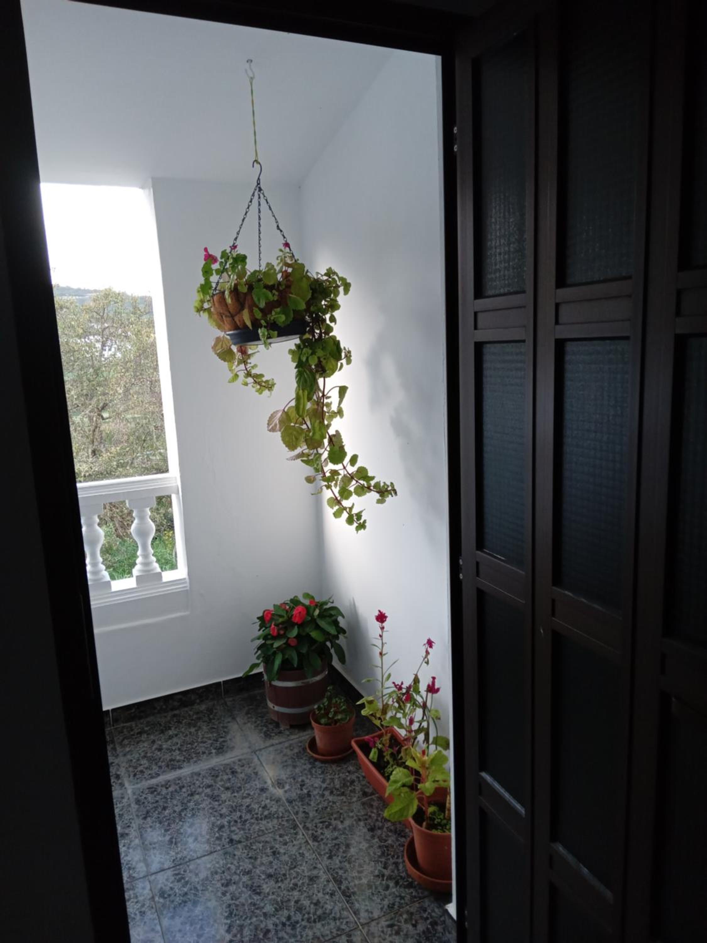Photo 39