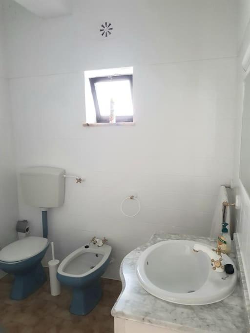 Photo 39