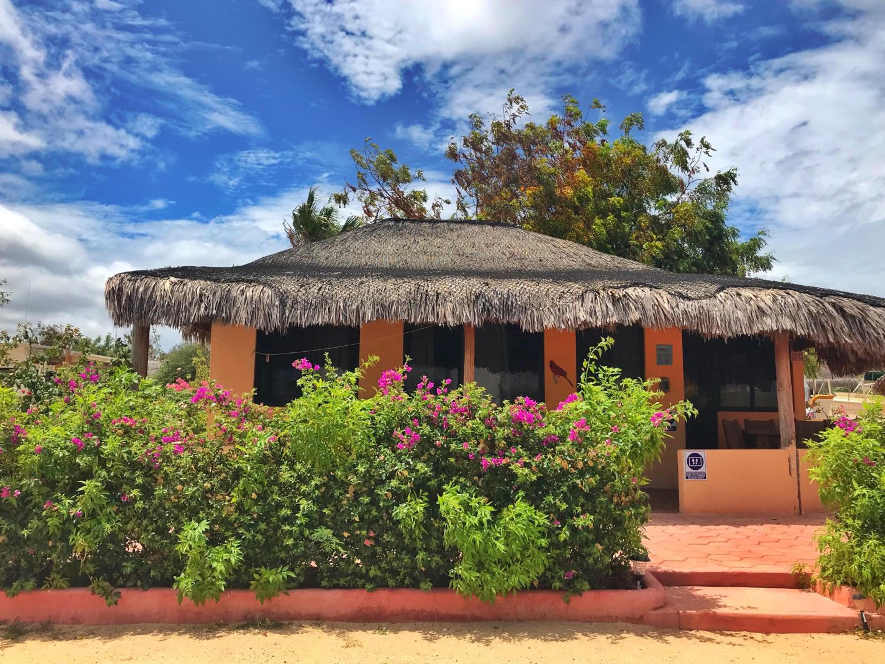 Bungalows Cabo Pulmo